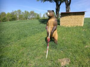 3D Bogenschießen nach DSB/WA Regeln